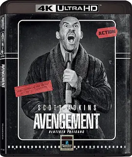 复仇者 Avengement (2019)/ 2160p.BluRay.REMUX.HEVC.DTS-HD.MA.5.1-FGT【46.37 GB】