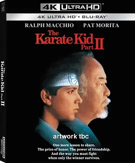 龙威小子2 The Karate Kid Part II (1986) / 龙威小子第二集/小子难缠续集 2160p.BluRay.REMUX.HEVC.DTS-HD.MA.TrueHD.7.1.Atmos-FGT【56