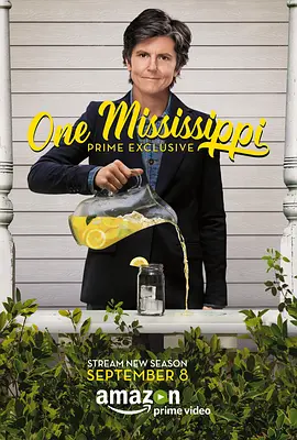 密西西比 第二季 One Mississippi Season 2 (2017)/ 2160p.AMZN.WEB-DL.x265.10bit.HDR.DDP5.1【17.81 GB】