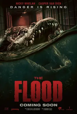 致命洪灾 The Flood (2023)/ 2160p.AMZN.WEB-DL.DDP5.1.H.265-LouLaVie【9.89 GB】