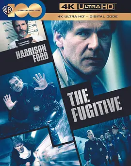 亡命天涯 The Fugitive (1993) / 穷途末路/绝命追杀令(台) / 逃亡者 2160p.UHD.Blu-ray.Remux.HDR.HEVC.TrueHD.7.1.Atmos-CiNEPHiLES【69