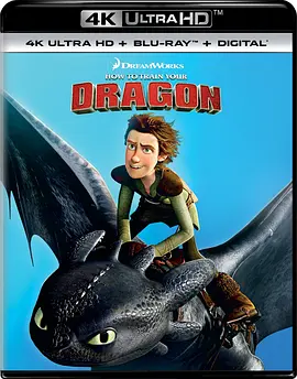 驯龙高手 4K How to Train Your Dragon (2010)/驯龙记(港) 2160p.BluRay.REMUX.HEVC.DTS-X.7.1-FGT 【38.55 GB】