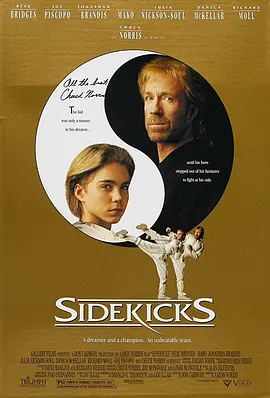 无敌战将 4K Sidekicks (1992)/ 2160p.BluRay.REMUX.HEVC.DTS-HD.MA.2.0-FGT【57.41 GB】