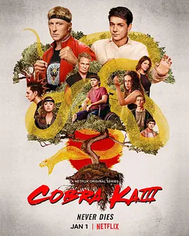 眼镜蛇 第三季 Cobra Kai Season 3 (2021)/ 2160p.NF.WEB-DL.x265.10bit.SDR.DDP5.1【28.59 GB】