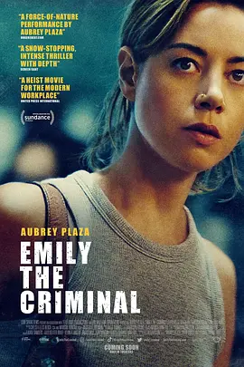 罪犯艾米丽 Emily the Criminal (2022)/ 2160p.WEB-DL.x265.10bit.SDR.DDP5.1【14.45 GB】 1080p.BluRay.REMUX.AVC.DTS-HD.MA