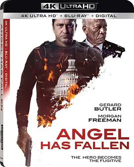 天使陷落 4K Angel Has Fallen (2019) / 白宫沦陷3﹕天使沦陷(港)/奥林匹斯的陷落3 / 空军一号陷落 2160p.BluRay.REMUX.AVC.DTS-HD.MA.TrueHD.7.1.