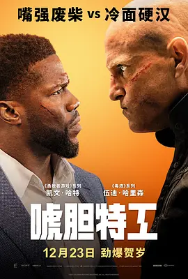 唬胆特工  The Man from Toronto (2022) / 玩命大临演(台)/换命大龙凤(港) 2160p.NF.WEB-DL.x265.10bit.HDR.DDP5.1.Atmos【10.27 GB】