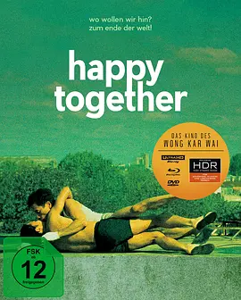 春光乍泄 Happy Together (1997) / 一起快乐/春光乍洩 / Buenos Aires Affair 2160p.BluRay.REMUX.HEVC.DTS-HD.MA.5.1-FGT【52.04 G