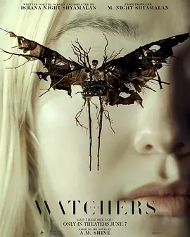 神秘窥视 The Watchers (2024) /台)/窥探者(港/ 窥视者 2160p.WEB.H265-Voracious【17.60 GB】