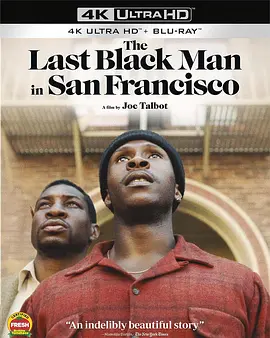 旧金山的最后一个黑人 The Last Black Man in San Francisco (2019)/ 2160p.BluRay.REMUX.HEVC.DTS-HD.MA.5.1-FGT【68.47 GB】