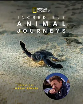 生灵奇旅 Incredible Animal Journeys (2023) / 动物的奇妙迁徙/不可思议的动物之旅 2160p.DSNP.WEB-DL.DDP5.1.DV.HDR.H.265-FLUX【32.6 GB】