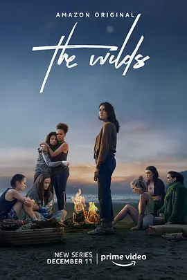 荒野 第一季  The Wilds Season 1 (2020)/ 2160p.AMZN.WEB-DL.x265.10bit.HDR10Plus.DDP5.1-ROCCaT【55.23 GB】