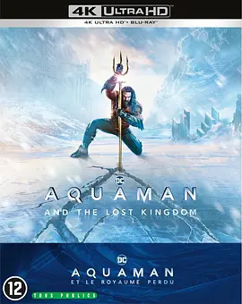 海王2：失落的王国 Aquaman and the Lost Kingdom (2023) / 水行侠与失落王国(港) / 水人2/水行侠 失落王国(台) / 潜水侠2 / Aquaman 2 2160p.REMUX.D