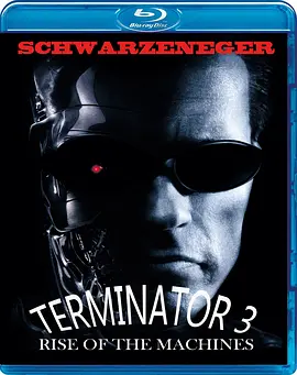 终结者3 Terminator 3: Rise of the Machines (2003) / 魔鬼终结者3(台)/未来战士3：歼灭者TX(港)  1080p.BluRay.x264.DTS【11.45 GB】