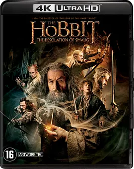 霍比特人2：史矛革之战 4K The Hobbit: The Desolation of Smaug (2013) / 哈比人：荒谷恶龙(台) / 指环王前传：霍比特人(中) / 霍比特人2：斯毛戈荒漠/The Hobb