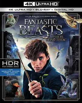 神奇动物在哪里 4K Fantastic Beasts and Where to Find Them (2016)/ 2160p.BluRay.REMUX.HEVC.DTS-HD.MA.TrueHD.7.1.Atmos-