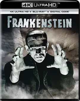 科学怪人 Frankenstein (1931) / 魔鬼博士/弗兰肯斯坦 2160p.BluRay.REMUX.HEVC.DTS-HD.MA.2.0-FGT【46.44 GB】