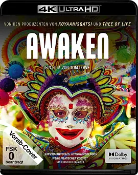 觉醒 Awaken (2018)/ 2160p.BluRay.REMUX.HEVC.DTS-HD.MA.7.1-FGT【52.54 GB】