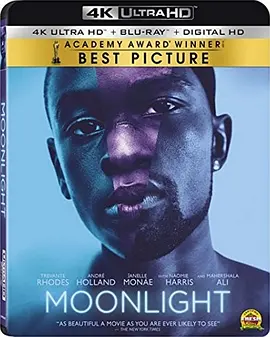 月光男孩 4K Moonlight (2016) / 月光 / 月光人生/月亮喜欢蓝(港) / 月光下的蓝色男孩(台) / 蓝色月光 2160p.BluRay.REMUX.HEVC.DTS-HD.MA.5.1-FGT【4