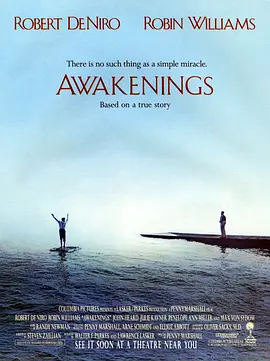 无语问苍天 Awakenings (1990) / 苏醒/睡人 / 唤醒 2160p.WEB-DL.DoVi.HDR10+H.265.DTS-HD.MA.5.1【23.21 GB】【杜比视界】