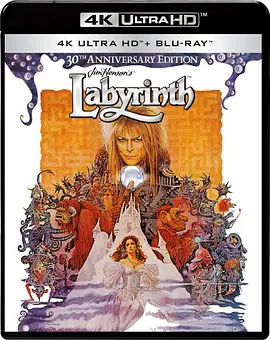 魔幻迷宫 Labyrinth (1986) / Labyrinth 1986 2160p BluRay REMUX HEVC DTS-HD MA TrueHD 7.1 Atmos/魔王迷宫(台) 2160p.BluRay