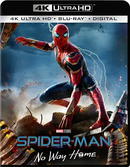 蜘蛛侠：英雄无归 Spider-Man: No Way Home (2021) / 蜘蛛侠：无回之战 / 蜘蛛人：无家日(台) / 蜘蛛侠3：无家可归/新蜘蛛侠3 / 蜘蛛侠：不战无归(港) / 蜘蛛侠3：英雄末路 21