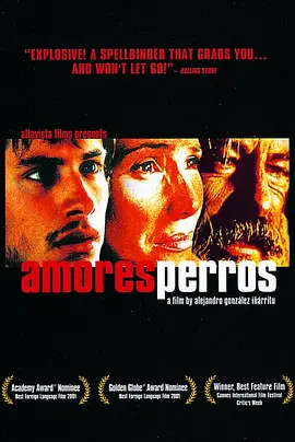 爱情是狗娘 Amores perros (2000)/ 2160p.WEB-DL.x265.10bit.HDR.DTS-HD.MA.5.1【30.95 GB】