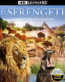 塞伦盖蒂：自然界最壮观的旅程 Serengeti: Nature’s Greatest Journey (2013)/ 2160p.BluRay.REMUX.HEVC.SDR.DTS-HD.MA.5.1-FGT【24.4