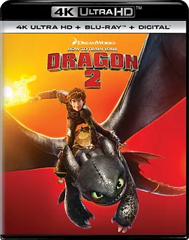 驯龙高手2 4K How to Train Your Dragon 2 (2014)/驯龙记2 (港) 2160p.BluRay.REMUX.HEVC.DTS-X.7.1-FGT 【35.50 GB】