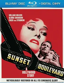 日落大道 Sunset Blvd. (1950)/红楼金粉(港)  1080p.BluRay.REMUX.AVC.DTS-HD.MA.TrueHD.2.0-FGT【27.23 GB】