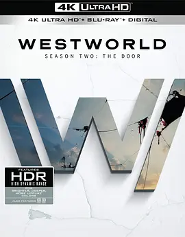 西部世界 第二季 4K Westworld Season 2 (2018)/西方极乐园 2160p.BluRay.REMUX.HEVC.DTS-HD.MA.TrueHD.7.1.Atmos-FGT【241.2GB】