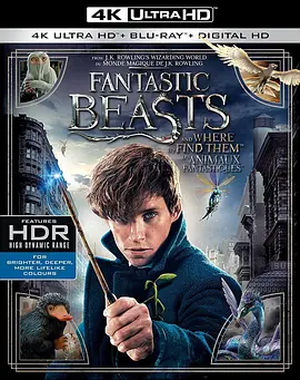 神奇的动物在哪里 Fantastic Beasts and Where to Find Them (2016)/台) / 神奇的野兽以及在哪里能找到它们/怪兽与它们的产地(港/ 神奇生物在哪里 2160p.BluRay.