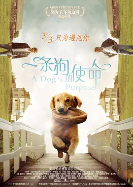 一条狗的使命 A Dog\'s Purpose (2017) / 再见亦是狗朋友(港)/为了与你相遇(台) 2160p.HQ.WEB-DL.H265.60fps.DDP5.1.2Audio-DreamHD 1080p.Bl