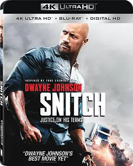 告密者 4K Snitch (2013) / 限时翻供(台)/毒火线(港) 2160p.BluRay.REMUX.HEVC.DTS-HD.MA.TrueHD.7.1.Atmos-FGT【50.6GB】