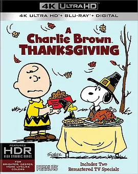 史努比的故事：查理布朗的感恩节 4K A Charlie Brown Thanksgiving (1973)/ 2160p.BluRay.REMUX.HEVC.DTS-HD.MA.5.1-FGT【9.07GB】