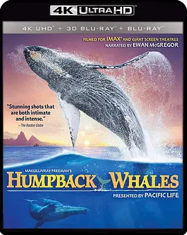 座头鲸 Humpback Whales (2015)/座头鲸的鸣歌 2160p.BluRay.REMUX.HEVC.HDR.DTS-HD.MA.TrueHD.7.1.Atmos-FGT【17.3GB】