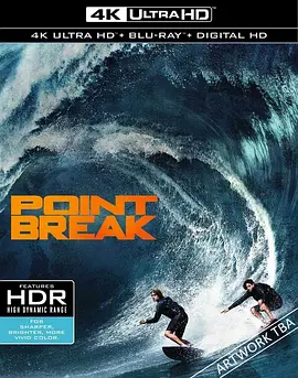 极盗者 4K Point Break (2015) / 新终极豪情 / 飙风特攻(台)/惊爆点 / 极限追捕(港) 2160p.BluRay.REMUX.HEVC.DTS-HD.MA.7.1-FGT【54.8GB】