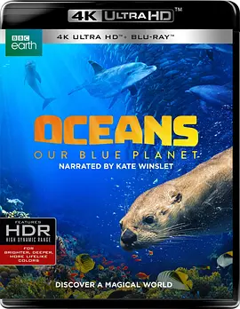 海洋：我们的蓝色星球 Oceans: Our Blue Planet (2018)/ 2160p.BluRay.REMUX.HEVC.DTS-HD.MA.5.1-FGT【17.2GB】