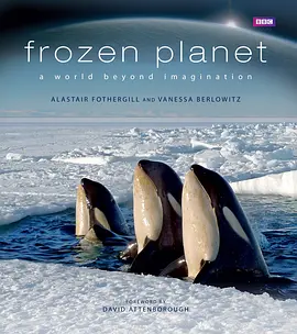 冰冻星球 Frozen Planet (2011)/冰冷星球  1080p.DTS-HD.MA.5.1.x264-beAst【57.77 GB】