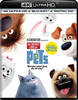 爱宠大机密 4K The Secret Life of Pets (2016) / 宠物当家(台)/Pet Pet当家(港) / 宠物的秘密生活 2160p.BluRay.REMUX.HEVC.DTS-HD.MA.Tru