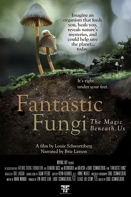 神奇的真菌 Fantastic Fungi (2019)/ 2160p.WEB-DL.x265.10bit.SDR.DD5.1-FLUX【6.82 GB】