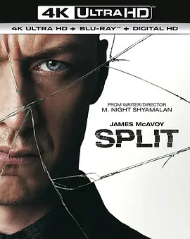 分裂 4K Split (2016)/思·裂(港) 2160p.BluRay.REMUX.HEVC.DTS-HD.MA.5.1-FGT【55.3GB】