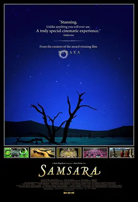 轮回 Samsara (2011)/ 2160p.WEB-DL.x265.10bit.HDR.DTS-HD.MA.5.1【22.84 GB】 1080p.BluRay.AVC.DTS-HD.MA.5.1-FGT【32.0