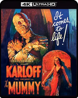 木乃伊 The Mummy (1932) / Im-Ho-Tep / Mumien Vaknar/Cagliostro / King of the Dead 2160p.BluRay.REMUX.HEVC.DTS-HD.