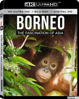 婆罗洲：亚洲的魅力  Borneo The Fascination of Asia (2017)/ 2160p.BluRay.REMUX.HEVC.SDR.DTS-HD.MA.5.1-FGT 【34.02 GB】