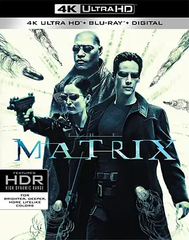 黑客帝国 4K The Matrix (1999) / 骇客任务(台)/廿二世纪杀人网络(港) 2160p.BluRay.REMUX.HEVC.DTS-HD.MA.TrueHD.7.1.Atmos-FGT【61.9GB】