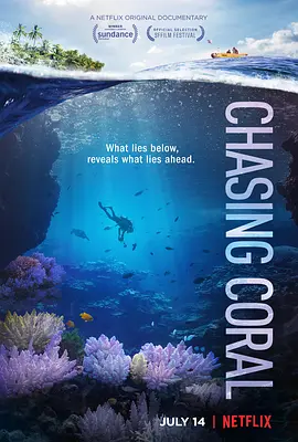 追逐珊瑚 Chasing Coral (2017) 2160p.NF.WEB-DL.x265.10bit.HDR.DDP5.1-XEBEC【11.75 GB】