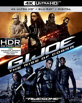 特种部队：眼镜蛇的崛起 4K G.I. Joe: The Rise of Cobra (2009) / 义勇群英之毒蛇风暴/义勇群英：毒蛇危机(港) / 百战英雄 2160p.BluRay.REMUX.HEVC.DTS-