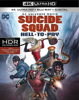 自杀小队：严厉惩罚 4K Suicide Squad: Hell to Pay (2018)/自杀小队：惨痛代价 2160p.BluRay.REMUX.HEVC.DTS-HD.5.1-FGT【33.1GB】