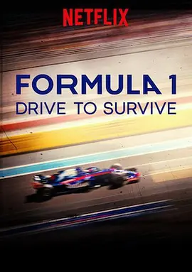 一级方程式：疾速争胜 Formula 1 第二季 Formula 1: Drive to Survive Season 2 (2020)/全10集 2160p.NF.HFR.WEB-DL.x265.10bit.HDR.D